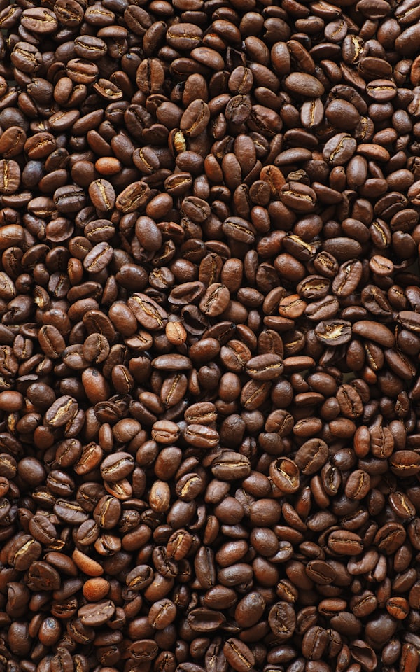 Espresso Italiano Forte Bohnen