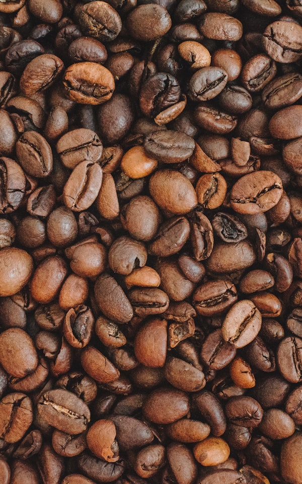 Espresso Brasil Santos Bohnen